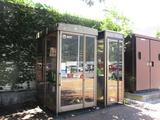250731-1.JPG
