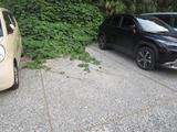 260725-1.JPG