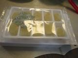 260804-2.JPG