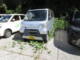 260809-1.JPG